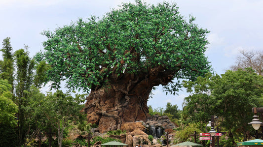 Testing the Canon R7 at Disney’s Animal Kingdom