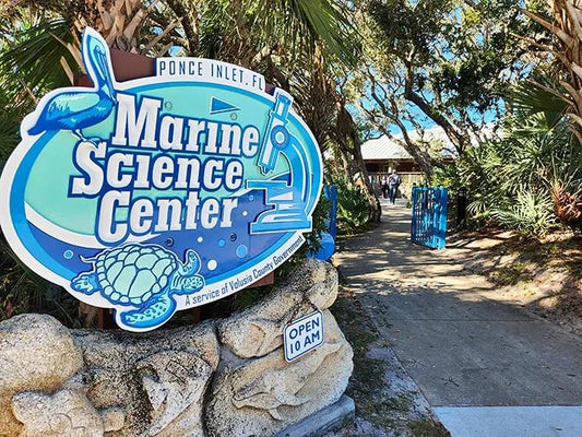 A Hidden Gem Near Daytona Beach