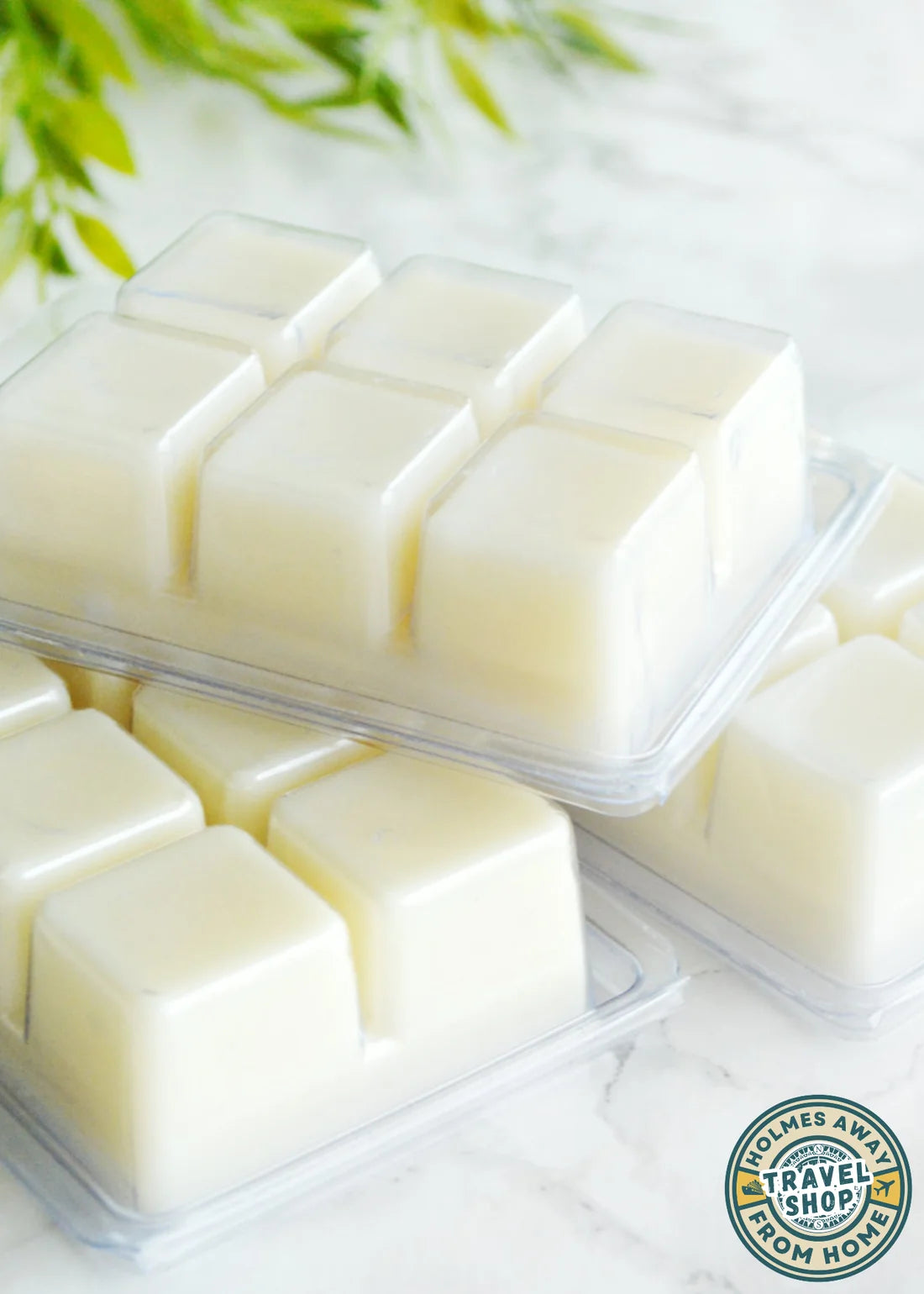 Jack’s Back in the Pumpkin Patch Scented Wax Melts